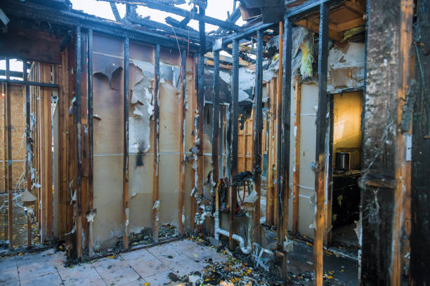 Professional Fire Damage Removal technician working in Lockhart, TX